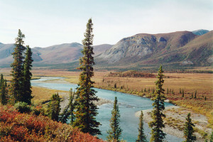 Protect America’s Arctic National Wildlife Refuge