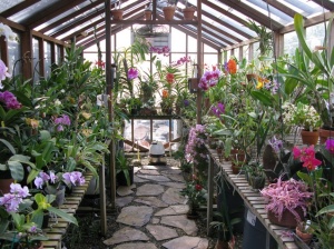 5 Reasons Why You Should Build Your Own Greenhouse