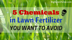 5 Chemicals in Lawn Fertilizer You Want To Avoid