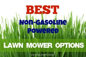 Best Non-Gasoline Powered Lawn Mower Options