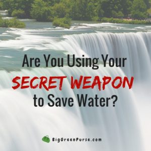 Are You Using Your Secret Weapon to Save Water?