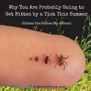 Why You Are Probably Going to Get Bitten by a Tick This Summer (Unless You Follow My Advice)