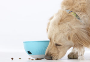 This Eco-Friendly Dog Food Bowl Rocks – Literally!